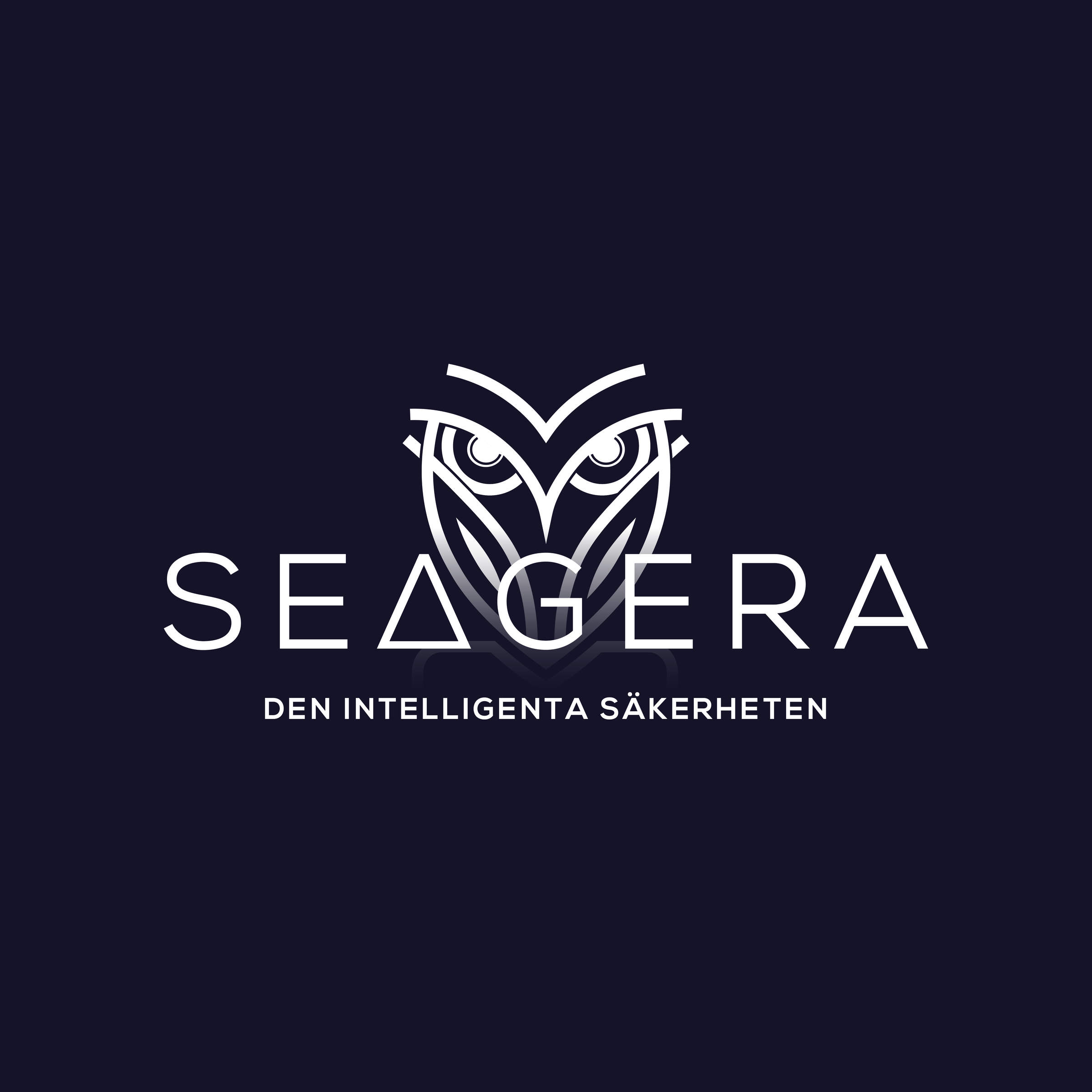 The logo entirely in white on navy.